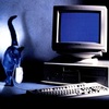 teacat: (cat, Keyboard)