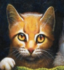mothwingofriverclan: (Default)