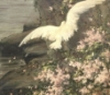 lily0fthemountain: (Bird, pink, roses)