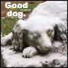 dine: (good dog - copperbadge)