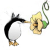 van_champion: A penguin sipping from a flower in the manner of a hummingbird. (Default)
