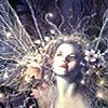 dine: (faery - lanning)