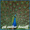 thelaughingmuse: A photo of a peacock with his tail spread wide. The text at the bottom reads, "Yet another showoff." (Yet another showoff.)