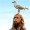 rhoda_rants: Scruffy sailor type with seagull perched on top of his head. (buttons)