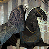 wenelda: (DAI - forlorn rider)