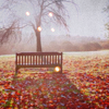justfornow: ([Stock] {Autumn} Park bench in leaves)