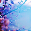alicevangeline: (Branch)
