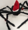 rattfan: (Spider)