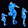 senmut: 3 blue seahorse shapes of varying sizes on a dark background (General: Seahorse Triad)