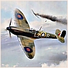 sweetsorcery: (wwii_spitfire_victory)