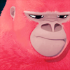 pinksidekicking: (gorilla)