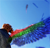 linky: Ankh from behind, his one wing bursting out. (KR OOO - Ankh: Wing)