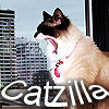 michelleann68: (catzilla)