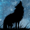 liminaltime: (Howling Wolf)