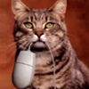 akacat: A cute cat holding a computer mice by the cord. (Default)