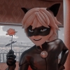 bienjoue: (Chat - A Rose Arose)