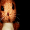 chocca: (squirrel)
