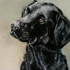 gwendraith: (black retriever)