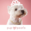 devoted: © <lj user=petite_bella> @ LJ (pup & pearls)