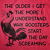 vysila: text icon - understand why roosters scream (roosters scream)
