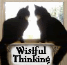 vysila: two cats looking wistful (wistful)