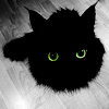 brisus: (Animals - Cute Black Kitty Eyes)