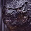 30storieshigh: (lizard.exe is loading)