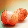 umadoshi: (lychee (mayfrayn))