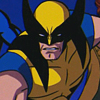 mightymorphin: (D; Wolverine scowl)