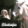 ce_jour_la: (Tolkien || Gandalf &amp; Shadowfax)