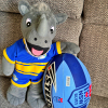 lilly_c: Ronnie The Rhino standing with his left arm on top of a NSW Blues Steeden football (Ronnie - footy)