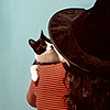 peaked: CATS + STOCK. (pic#17440731)