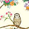 veryroundbird: (owl always)