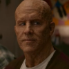 zipit_thanos: (pic#17450160)