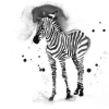 sweettartheart: Drawing of a zebra, art by Clementine (Animal Zebra artistic)