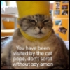 wint3rpear: (cat pope)