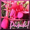 ithildin: (Nature - Pink!)