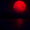 tatteredepilogue: (blood moon)