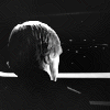 thefinaljedi: (Brooding)