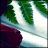 entrancelogs: (pic#1755841)
