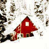 turlough: red house in snowy forest ((winter) seasonal)