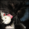 violetsugar: (kitty flavor)