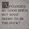 rodimus: (seems to be the fuck)