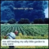 growanoak: (pic#17635722)