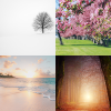 seasonshelpers: (Default)