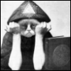 the_arcane_archivist: (Default)