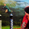 pretty_panther: (hp: drarry playing quiddich)