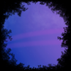 pilotsofanewsky: a purple sky with airplane trails framed by black tree outlines (Default)