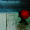 cafeshree: red umbrella in the rain (rain umbrella)
