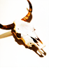 sophistry: ([Classics] skull)